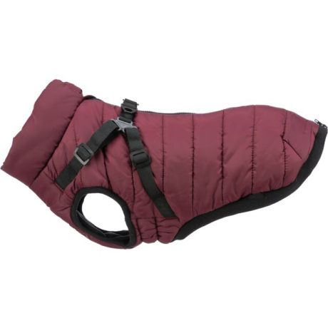 Trixie Pirou žieminė striukė su petnešom, S: 40 cm, t.raudona