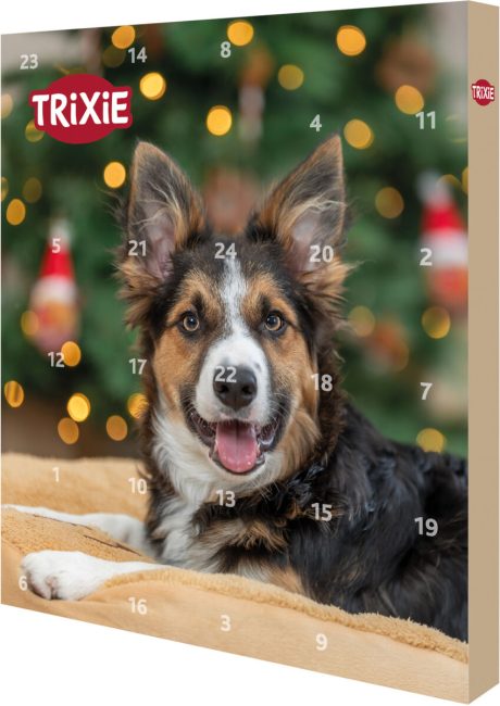 Trixie Xmas Advento kalendorius šunims, 30 × 34 × 3.5cm